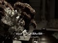 غزلية | يا آيةً في الحُسنِ ليس كمثلِها | القاء محمد شهاب ♥️🎙️ #اكسبلور #ذواقه #شعر #تصميمي #تصميمي 