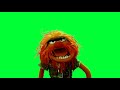 Muppets green screen animation