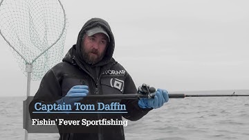 How To Set the Hook on Tautog