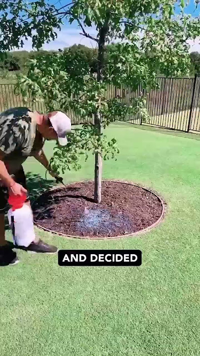 Mulch Glue for Mulch in Tree Ring. Does It Work?