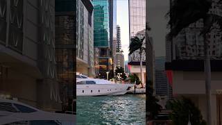 Downtown Miami ❤️❤️❤️❤️ #earthparadise #beautifulworld #travel #earthplaces #viralvideo #amazing