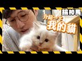 【喵】阿神養貓貓了❤超可愛布偶貓探險Vlog
