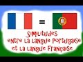 Cours de Portugais - Vidéo #3 - Similitudes entre la langue portugaise et la langue française