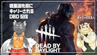 【DBD】先輩にキャリーされる DBD【橘亜蓮/針蒔桜輔】