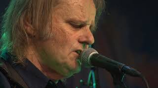 Video thumbnail of "Walter Trout Notodden Blues Festival 2019 - Got a Broken Heart"