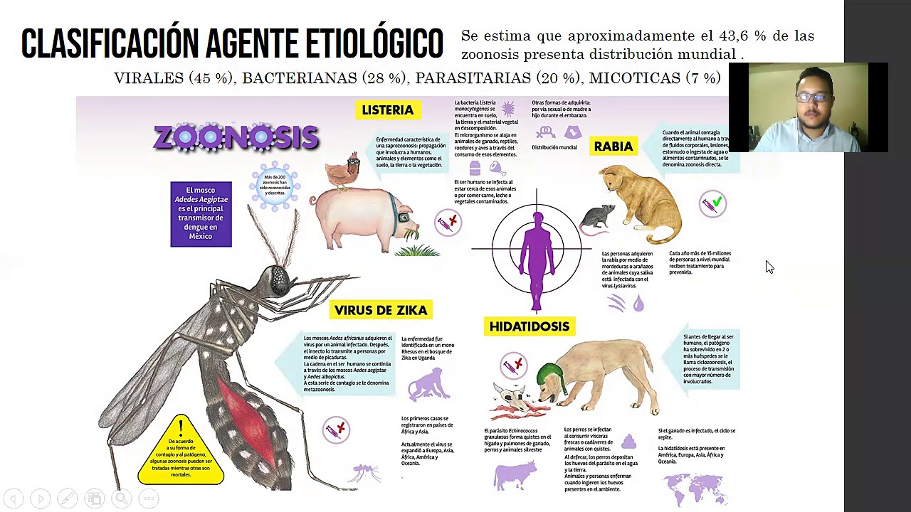 ZOONOSIS 