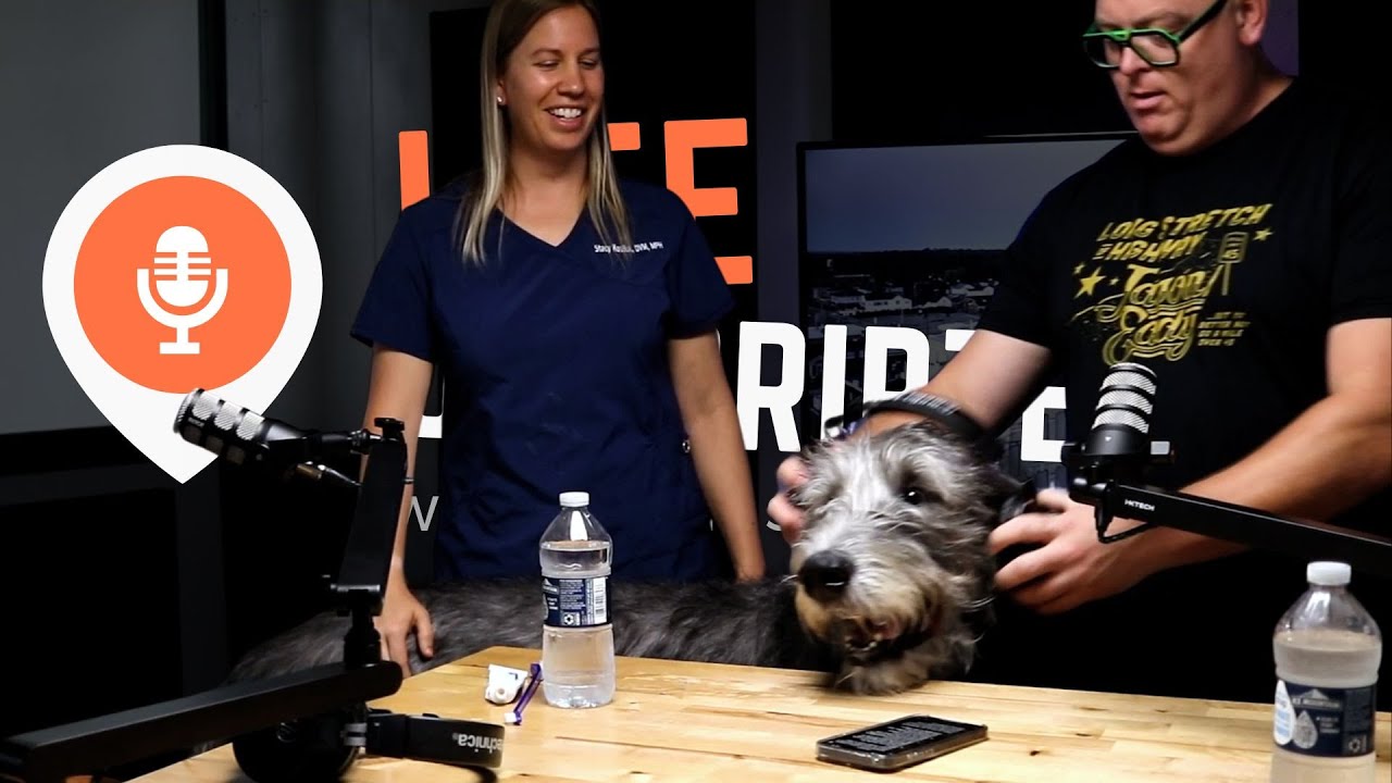 Life Unscripted - Dr. Kostiuk from the Animal Care Alliance: Inspiring Tales & Pet Care Advice