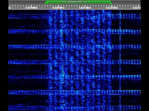CIS-12 spotted at