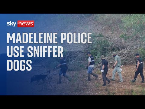 Madeleine McCann: Police use sniffer dogs to comb wooded area during reservoir search.