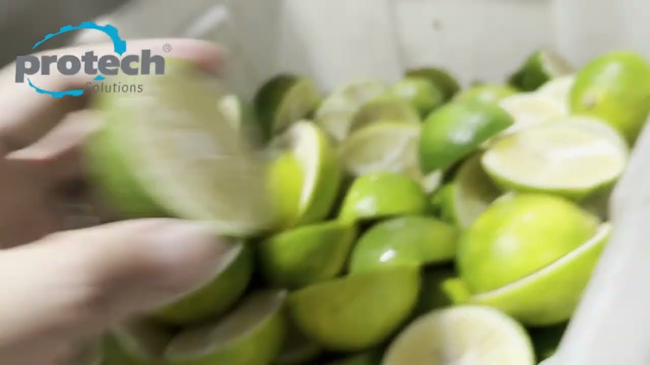 Protech Solutions Automatic Cutting Half Lemon Machine