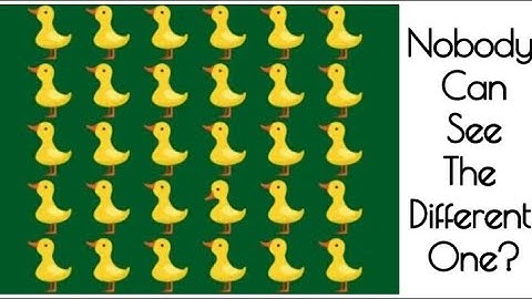 97% Of  People Fail To Find Even Half Of The Odd One!How Good Are Yours Eyes!