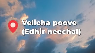 velicha poove Lyrics| Sivakartikeyan | edhir neechal |Anirudh | Lyrics hub sailors |