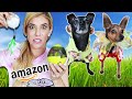 Dogs Try Weird Amazon Products (Funny Reactions)