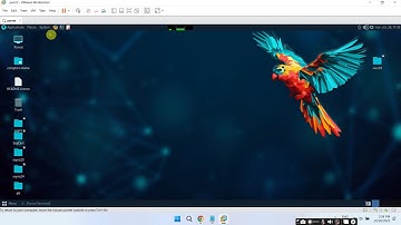 Remote Access Trojan - Windows 11 updated