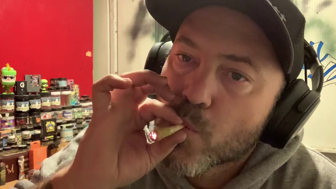 Waxi taxi preroll tarantulas review( velvet pie )