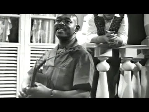 Sonny Terry & Brownie McGhee - Hootin Blues