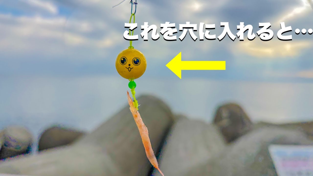 【穴釣り】大磯港は穴が無限にある！