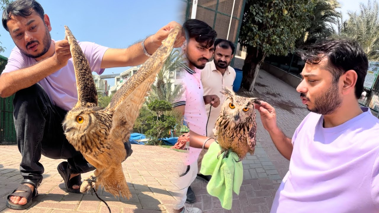 Khatarnaak ullu ka jaadu ho raha zoo me?
