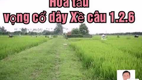 Hòa tấu vọng cổ dây Xề câu 1.2.6..Minh Đức ghita. Thanh Vân tranh...