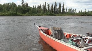 Alaska Canoe Trip  with Girl in the Woods