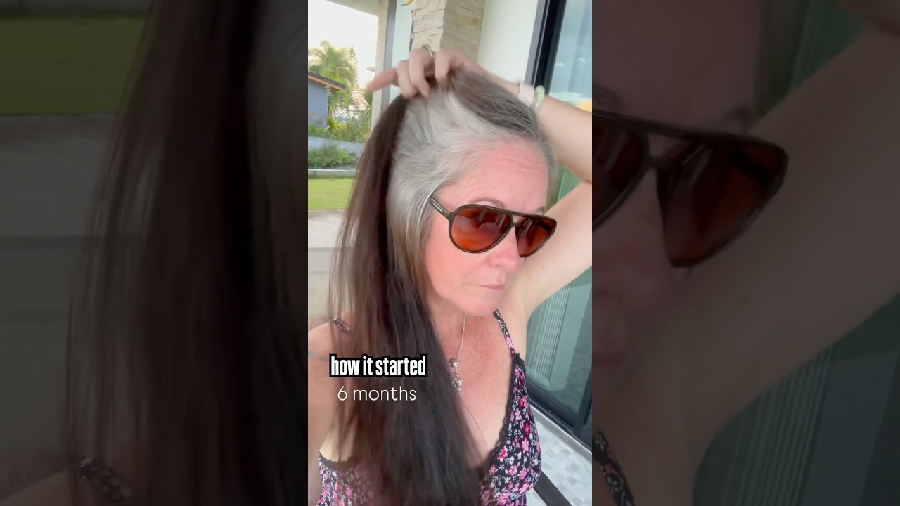 6 months, 15 months, 22 months clips from my grey hair grow out journey  