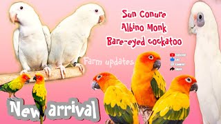 New birds arrived to our farm ✨... by SK Pets 2,314 views 3 months ago 1 minute, 57 seconds