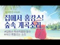 •ASMR• 집에서 홈캉스 ▶︎시원한 계곡소리3시간 듣기 Homecance in a valley 3Hour