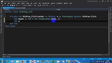 How to Customizing Line Style of the Pen Object in VB NET 2012