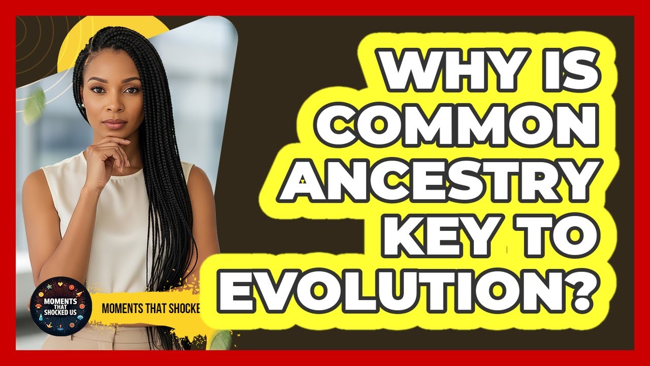 Why Is Common Ancestry Key To Evolution?