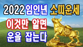 2022년 임인년 소띠운세, 이것만 주의하세요 최고의 해를 경험하실 거예요.