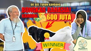 TERUNGKAP! Rahasia 12 Kriteria Juri Kambing Etawa & Rekor Harga 600 Juta!!