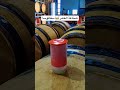 صناعة الخمور المشروبات الكحولية سفالوسا