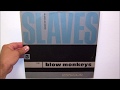 Miniature de la vidéo de la chanson Slaves No More (Short)