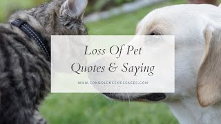 Loss of Pet Condolence Quotes & Sayings