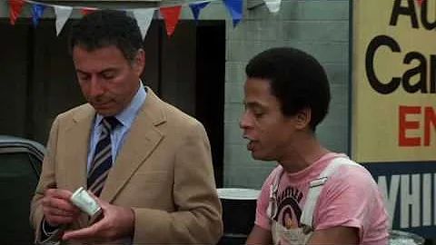 The In laws (1979 Version)