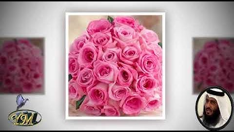 036 Surat Yaseen  أحمد بن علي العجمي  سورة يس