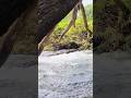 POV: Everything worth for it #wanderlust #nature #travel #mindfulness #shorts