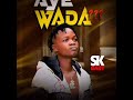 Ayewada  sk baby22960996004