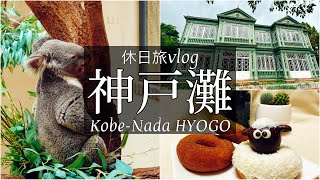 SUB【兵庫旅Vlog】神戸灘区の王子動物園と美味しいご飯で癒される休日Vlog/モッパン/カブ旅/旅動画/japan travel video