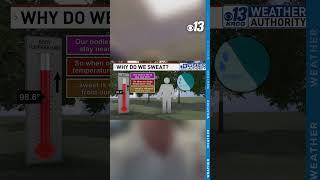 Weather 411: Heat Safety