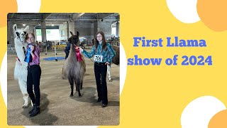 First llama show 2024