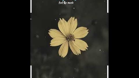 🔥New Avee Player #FullScreen Size Template Tutorial | Avee Player Template Download Link New