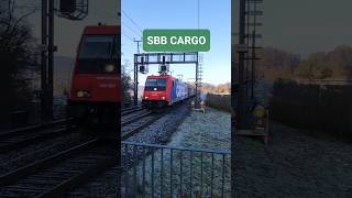 Ein SBB Güterzug durchfährt den Bahnhof Mellingen Heitersberg, Kanton Aargau, Schweiz 2023 /#shorts