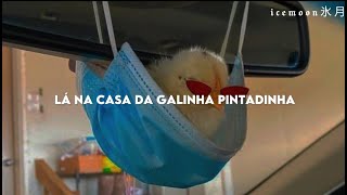 Lá na casa da galinha pintadinha tem aniversário quase todo dia [LETRA COMPLETA] "tiktok song/trend"