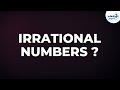 What are Irrational Numbers? | Number System | Don't Memorise