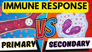 Biology Help - Immune Response - Immune System - Primary vs Secondary