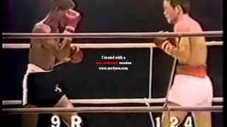 Ernesto Marcel D15 Kuniaki Shibata