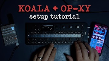 How to connect OP-XY and Koala Sampler | Workflow walkthrough and tutorial