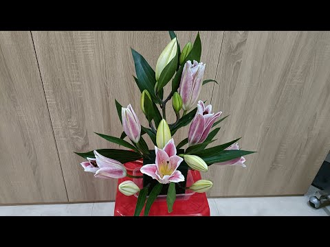 Video Cắm hoa ly ly đơn giản - youtube