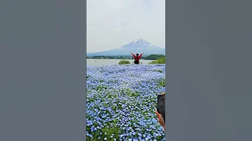Mount Fuji Gotemba Premium Outlet Japan Gotemba Chureitopagoda Mountfujiview Mountfuji 